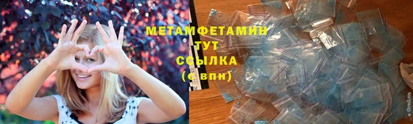 шишки Пересвет