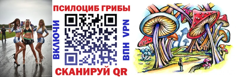 Псилоцибиновые грибы MAGIC MUSHROOMS  где купить наркоту  мега ТОР  Кировград 